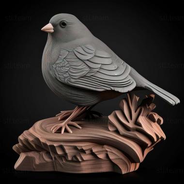 3D модель Junco insularis (STL)